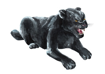 Aggressive snarling Black Panther or Jaguar. Watercolor hand drawn illustration isolated on white background © dariaustiugova