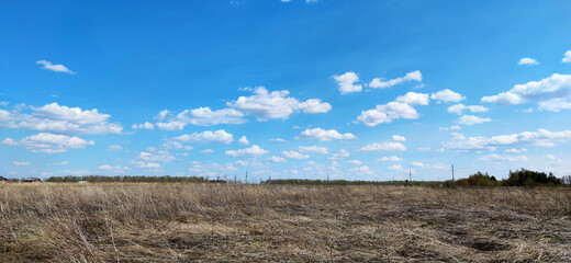 landscape with dry spring meadow under clouds in blue sky in spring time
