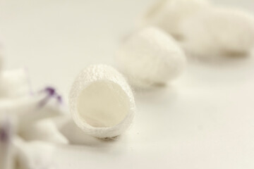 White Silkworm cocoon shells on white background. Beauty product concept