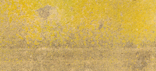 texture of old broken concrete wall with yellow lichen