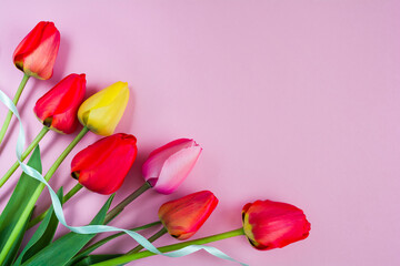 Bouquet of beautiful flowers of tulips on a pink background. Copy space