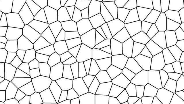 animated Voronoi diagram 