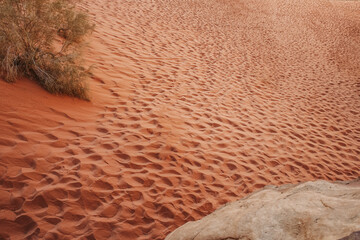 Wadi Rum Desert, Jordan, fine pink sand is in this desert on the surface like the planet Mars, red...