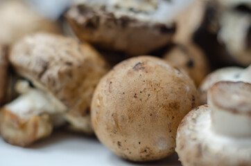 Raw and fresh mushrooms on a white background, vegetables from an organic farm