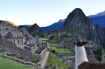 Machu Picchu 8