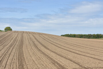 Fototapeta na wymiar Agricultural field ploughed in spring. Arable land ready for the next cultivation season. The field is on slight slope with trees on the horizon and lightly overcast sky on background.