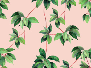 Watercolor painting ivy green leave seamless pattern on pink rose background.Watercolor hand drawn illustration tropical exotic leaf prints for wallpaper,textile Hawaii aloha jungle summer pattern.