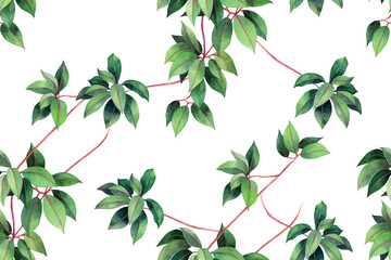 Watercolor painting ivy green leave seamless pattern background.Watercolor hand drawn illustration tropical exotic leaf prints for wallpaper,textile Hawaii aloha jungle pattern.