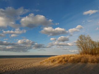 Scenic view of the beach in warm afternoon sun, Westerplatte, Gdansk, Poland