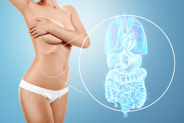 A hologram of human internal organs and the body of a beautiful young girl. Internal organs scan,...