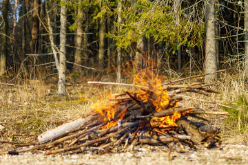 Obraz premium Picture as a painting