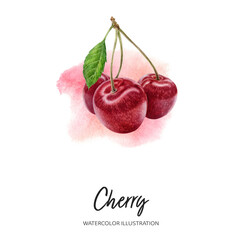 Cherry watercolor illustration isolated on splash background