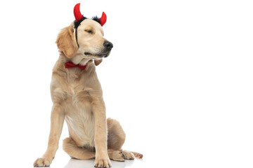 golden retriever dog wearing devil horns and a bowtie