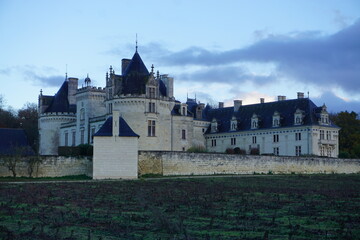 Fototapeta na wymiar old limestone castle in the country with an old vineyard in the Loire valley, France