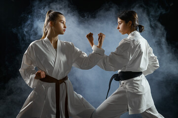 Female karate fighters, dark smoky background © Nomad_Soul