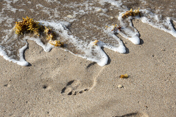 Surf washing away footprints in sand