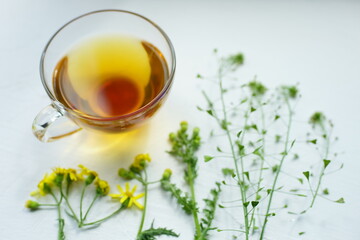 Green tea in a glass cup. Herbs and flowers on a white table around a mug with a drink