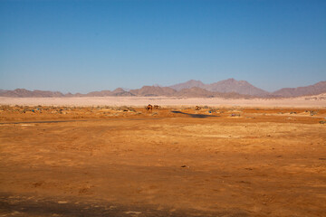 Desert Egypt, mountains sands