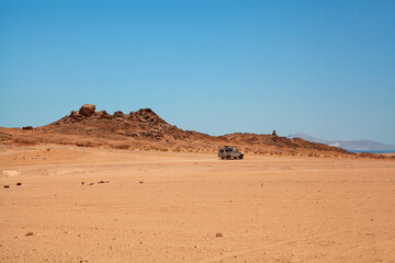 camel in the desert