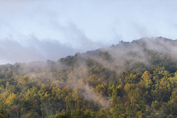 Fototapeta premium View of Appalachian Shenandoah Blue Ridge mountains in morning sunlight sunrise with mist fog weater in fall autumn near Front Royal