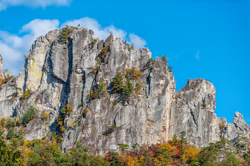 Closeup view of Seneca Rocks stone cliff from visitor center during autumn with red yellow foliage on trees and people climbing mountains on peak with blue sky