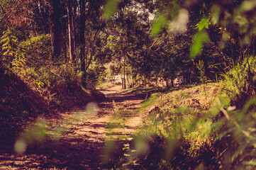 Natureza