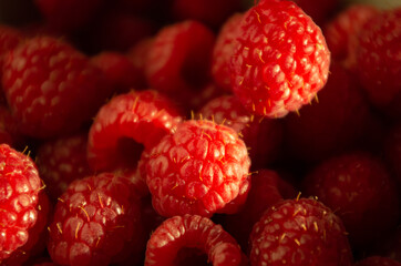 close up of raspberries