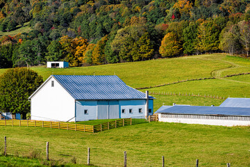 Agricultural industrial poultry house building by shed barn on farm at rolling hills by autumn forest mountains pastoral landscape pasture at Monterey and Blue Grass, Highland County Virginia