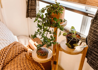 Boho RV Bedroom