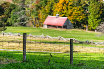 Barbed woven wire farming fence fencing at green grass farm field in colorful autumn with rolling...