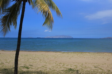 Playa con Palmera