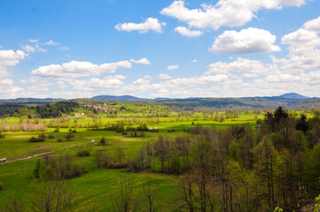 Obraz premium Green landscape with blue cloudy sky in Slovenia, summer.