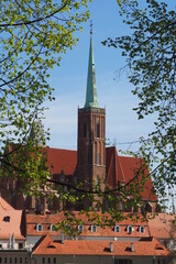 Kościół na Ostrowie Tumskim na tle gałęzi wiosną, Wrocław, Polska