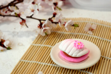 Obraz na płótnie Canvas Japanese traditional confectionery mochi with blossom on bamboo mat. Healthy vegan rice sweets. Beautiful wagashi. Spring romance concept for restaurant menu, receipt instruction.