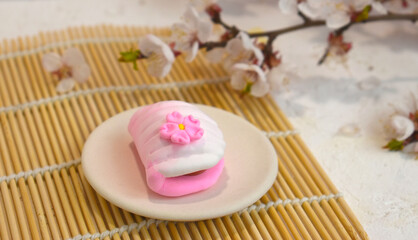 Japanese traditional confectionery mochi with blossom on bamboo mat. Healthy vegan rice sweets. Beautiful wagashi.  Spring romance concept for restaurant menu, receipt instruction.