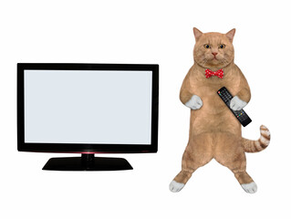 A reddish cat with a tv remote control is standing near the television set with a blank screen. White background. Isolated.