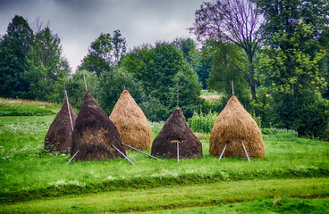 haystacks on a background of greenery