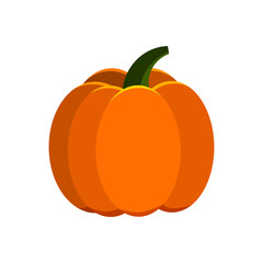 Orange pumpkin vector icon isolated on white background. Thanksgiving farm harvest, closeup squash. Vector simple cartoon flat style colorful vegetable clip art illustration.