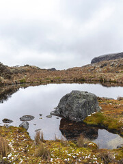 Landscapes of the Los Nevados National Natural Park in Manizales, Caldas, Colombia.