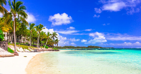 wonderful tropical beach island scenery. Bell Mare in Mauritius