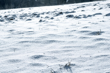 Snow on a meadow in winter during sunrise