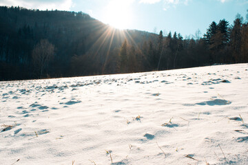 Sunrise on a snowy meadow in winter