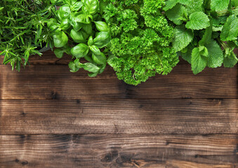 Fresh herbs rustic wooden background. Basil rosemary parsley mint
