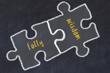 Ploblem solving. Chalk sketch of two puzzles with words folly and wisdom