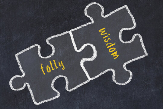 Ploblem solving. Chalk sketch of two puzzles with words folly and wisdom