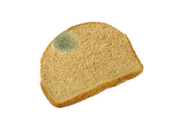 Fototapeta na wymiar bread with mold isolated on white background