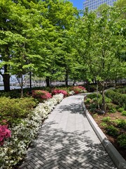 Spring in Battery Park City after rain, New York City, NY - April 2021