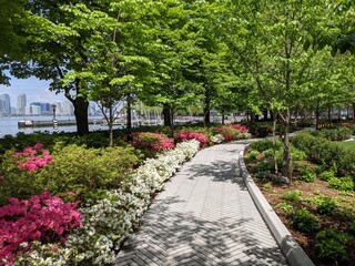 Spring in Battery Park City after rain, New York City, NY - April 2021