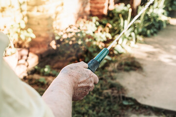 Female hand holding gardening hose, watering garden