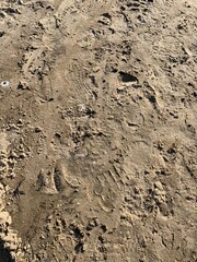 footprint in the sand